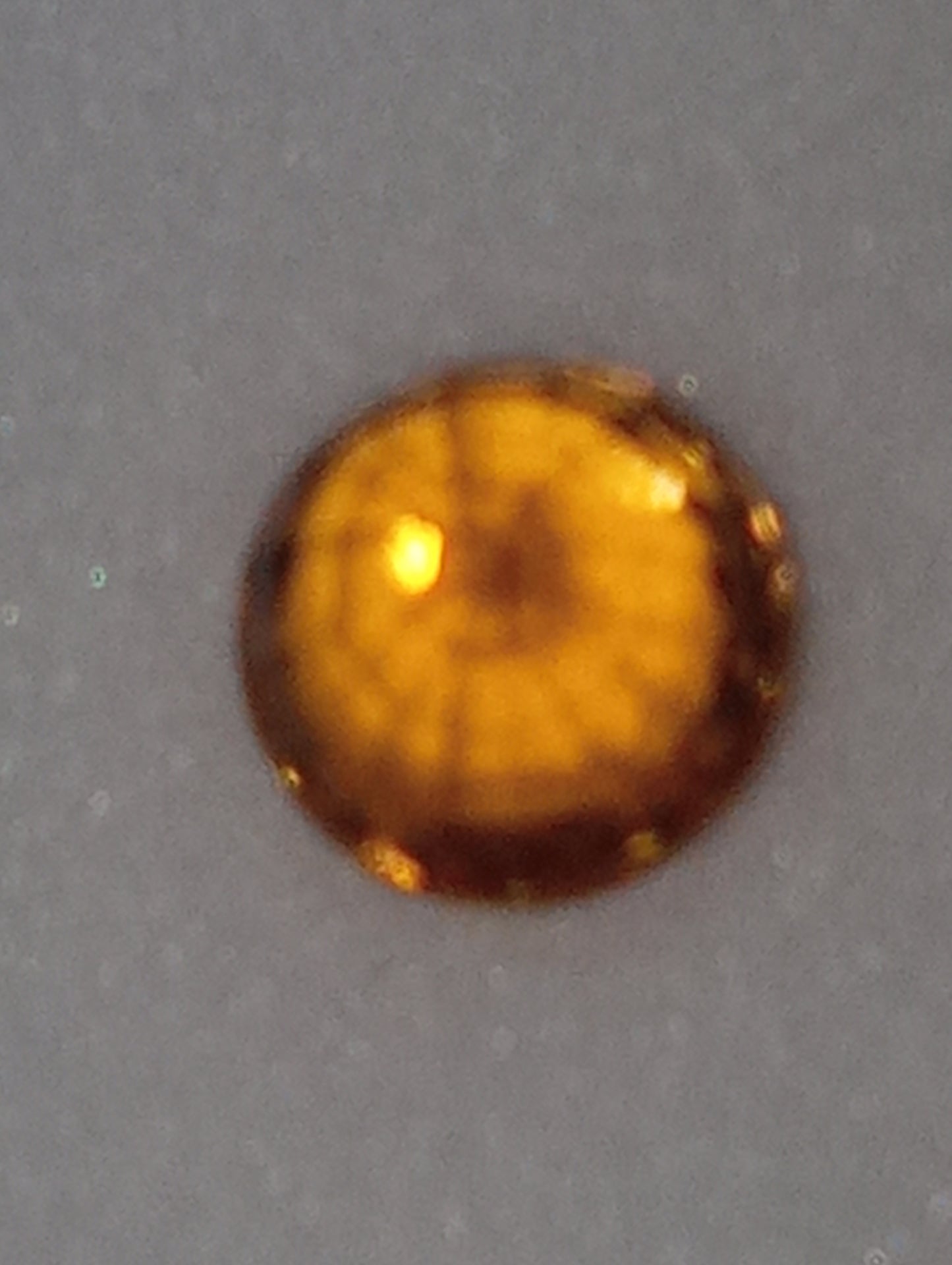 garnet gemstone mandarin spessartite 5mm round cut, .82ct