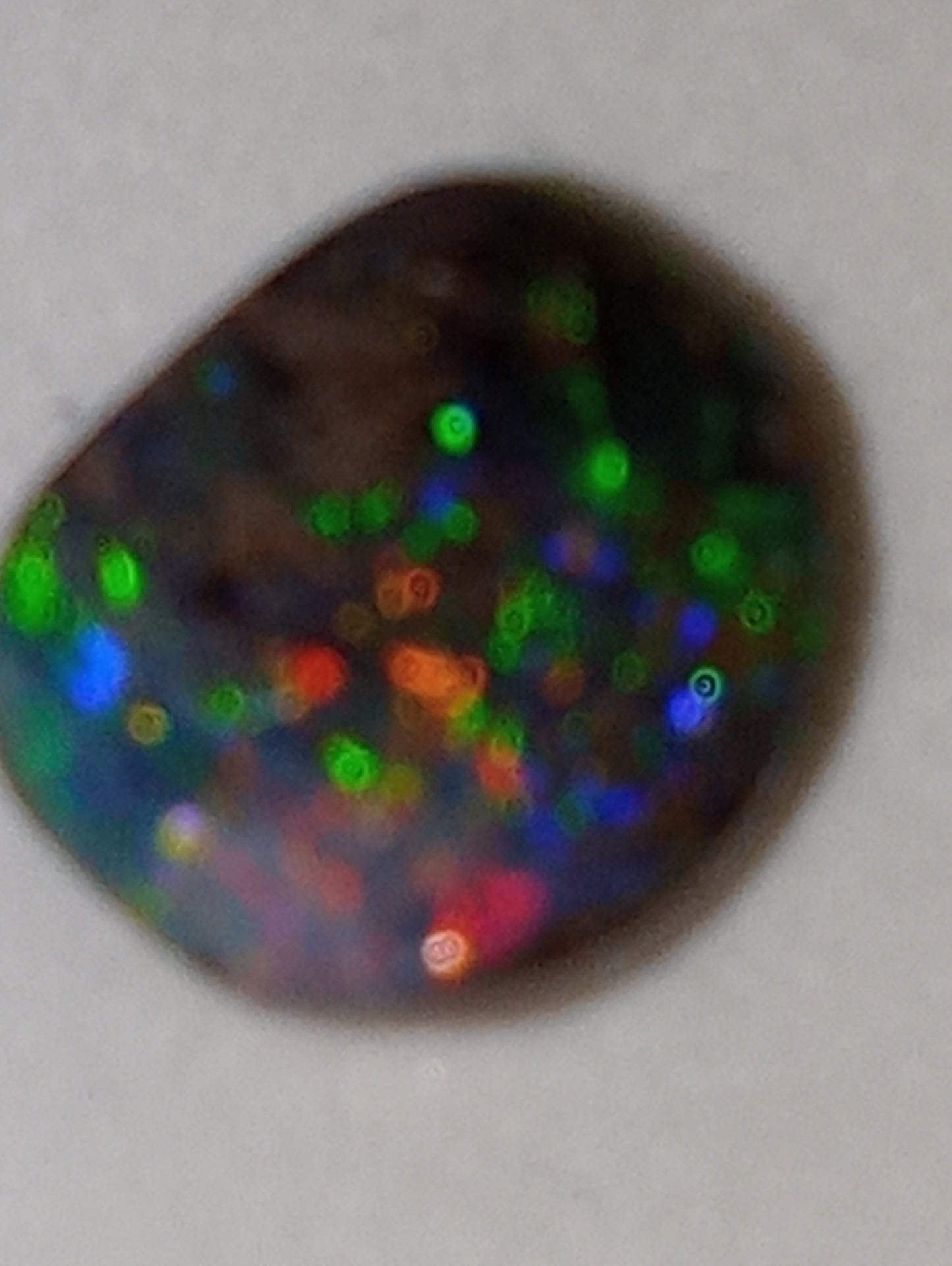 opal boulder Australian 1.52ct