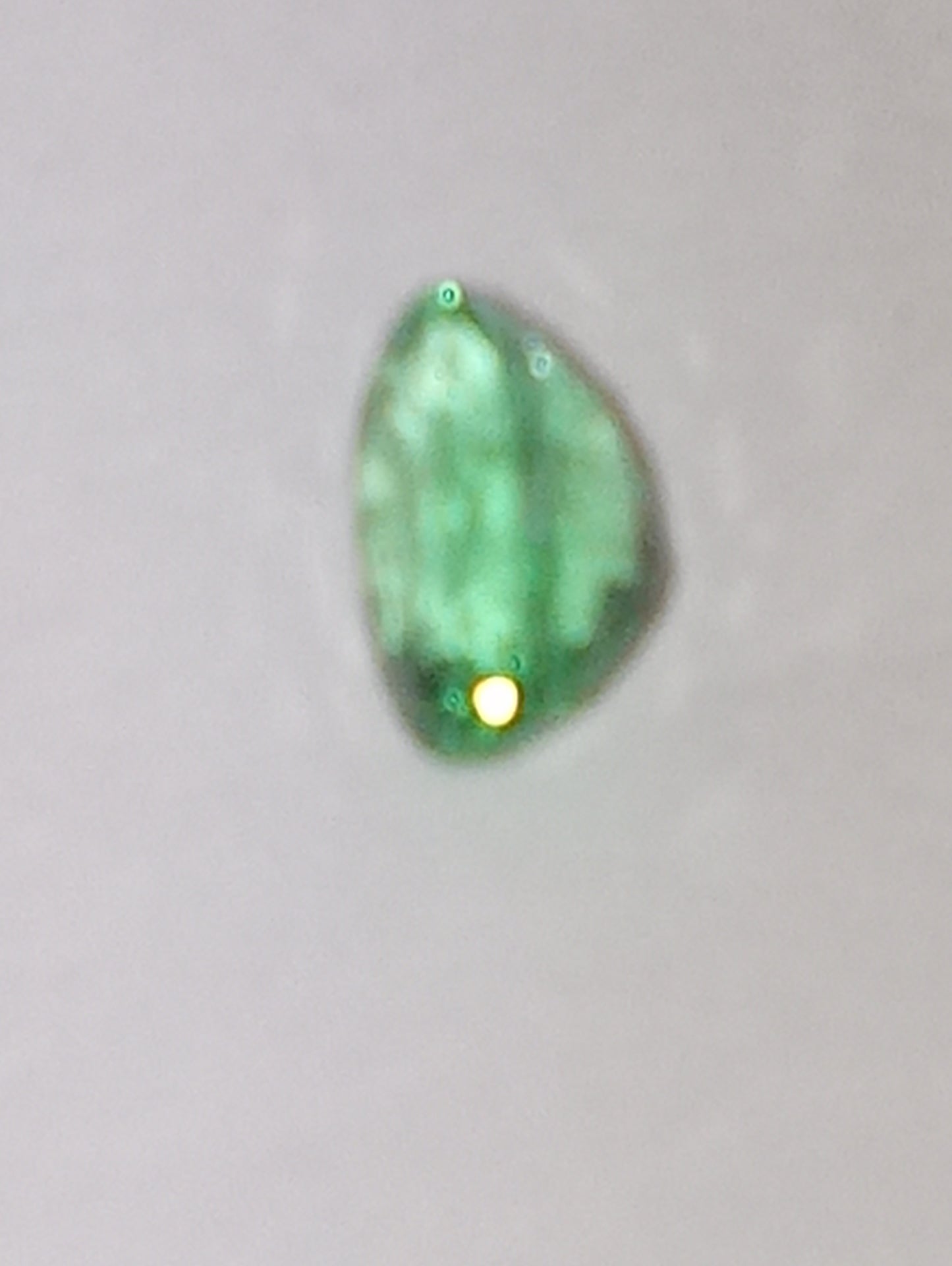 emerald gemstone Colombian oval cut .53ct , 6mmx4mm