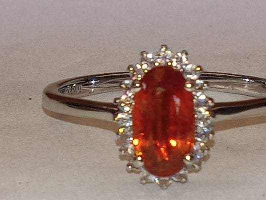 ring kyanite, natural Tanzanian tangerine, coffee zircon, halo in platinum over sterling silver, size10